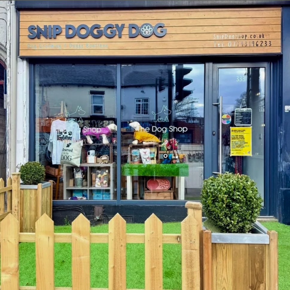 Dog, Dog grooming, Sheffield, Nether edge,Puppy, Full groom, Bath,cut & Blow dry